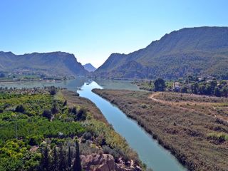 'Arde' el sur y el este peninsular, ¿llegaremos a los 44 ºC?