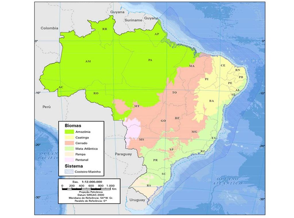 biomas brasileiros biomas brasileiros