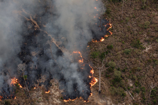 Área queimada no Brasil até setembro é 150% maior que 2023, equivalente ao estado de Roraima, segundo MapBiomas 