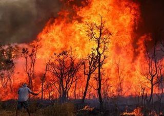 Área queimada no Brasil cresceu 79% em 2024. Amazônia foi o bioma mais afetado