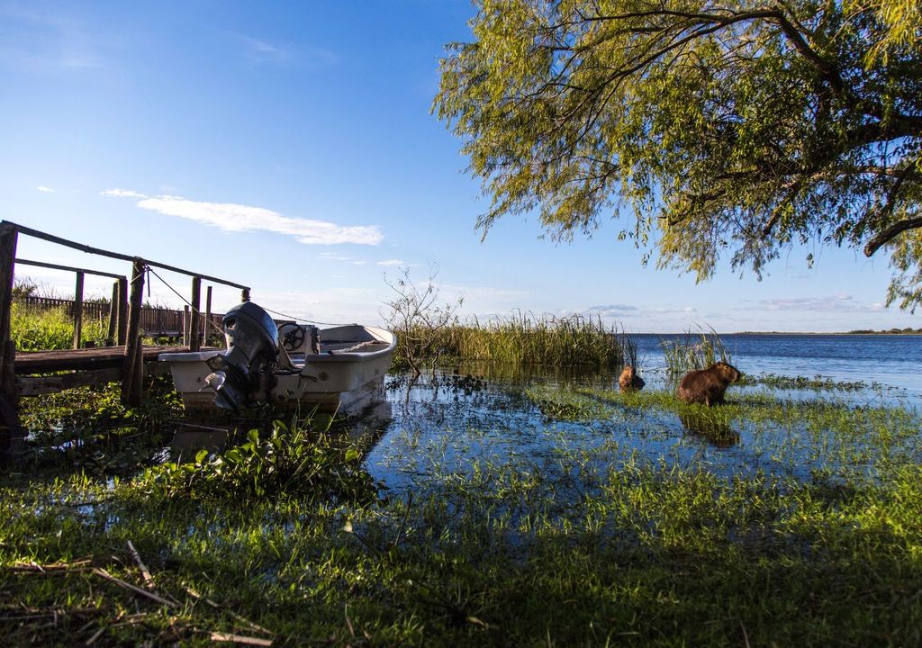 áreas naturales para la vida silvestre en Argentina