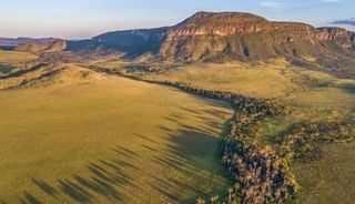 Estudo revela que solo do Cerrado armazena at&eacute; 8 vezes mais carbono que a Amaz&ocirc;nia