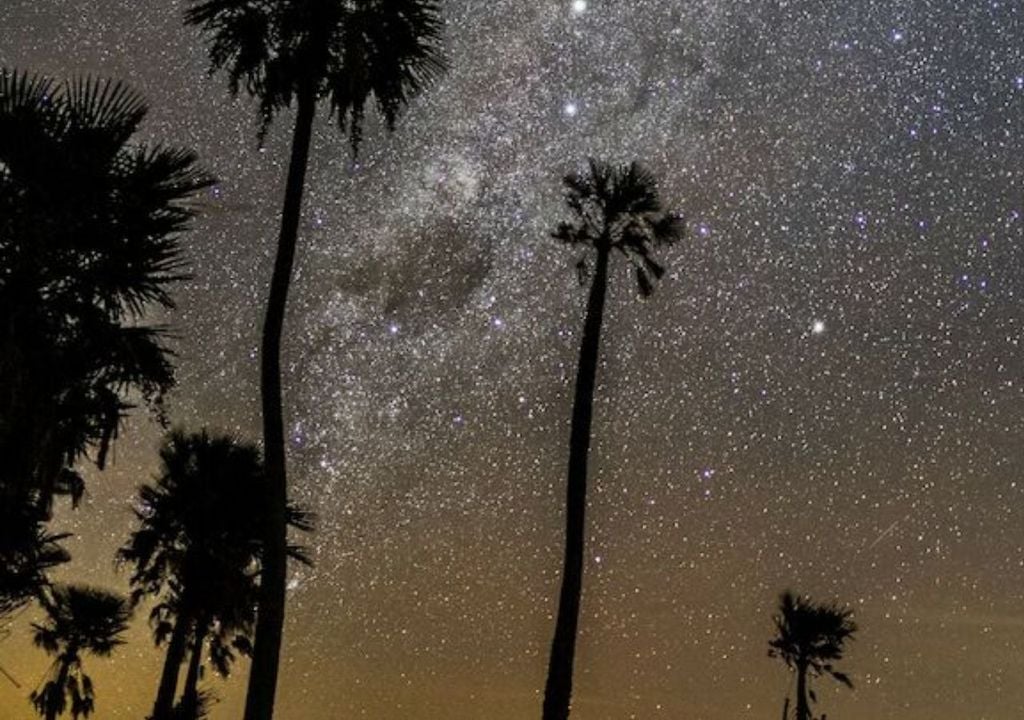 Iberá es el primer destino de Argentina en lograr la doble certificación Starlight