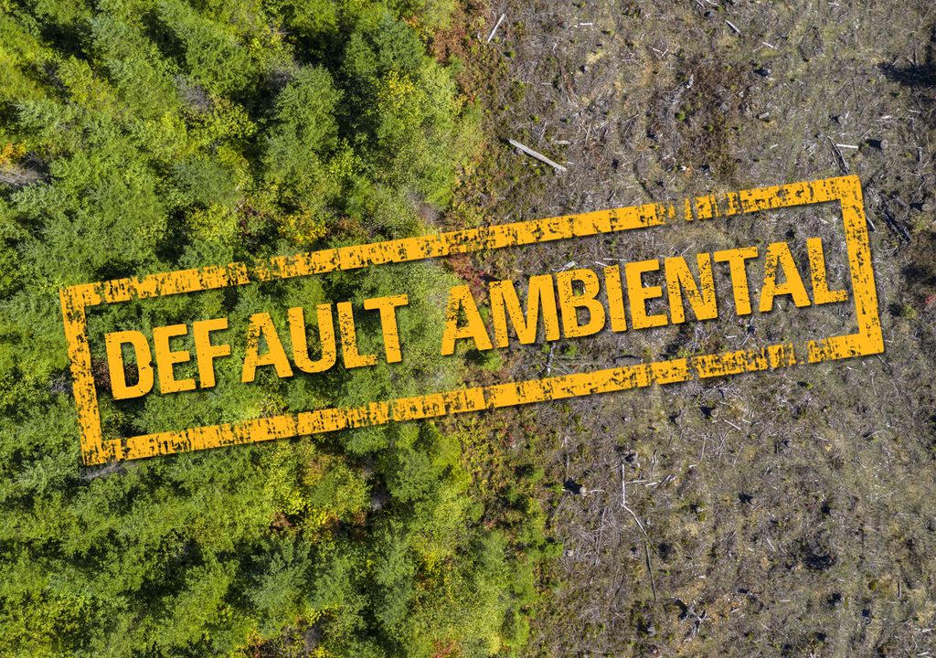 Default ambiental en Argentina