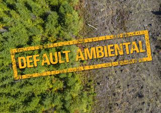 Argentina entró en default ambiental desde junio