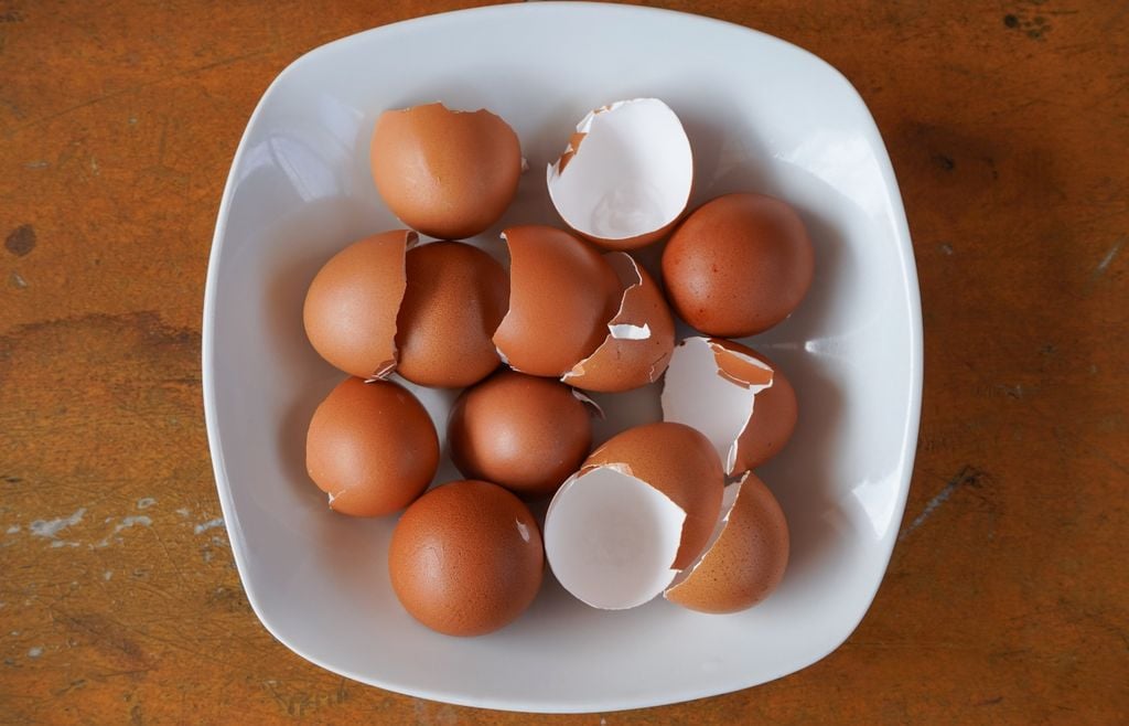 huevo El consumo de huevos en Argentina pasó de 363 unidades por habitante en 2024 a 398 en 2025, y el sector proyecta llegar a 430 durante 2026.
