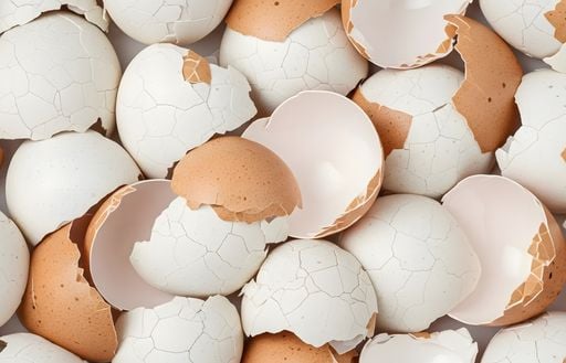 Argentina rompe otro r&eacute;cord con un alimento cotidiano: ya se consumen m&aacute;s de 430 huevos por persona al a&ntilde;o