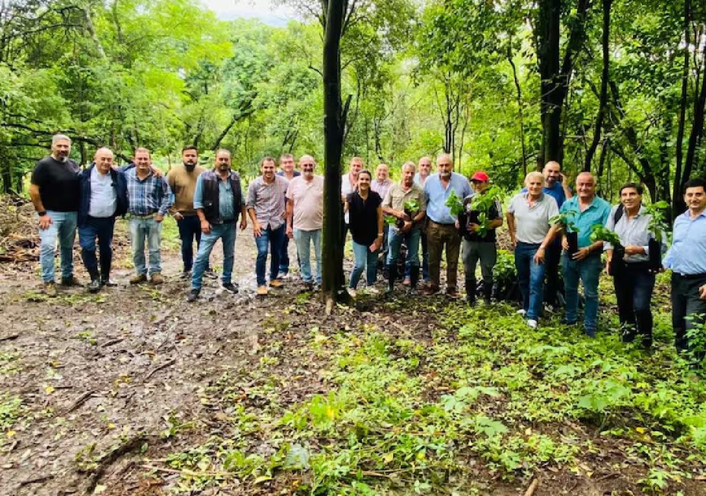 Productores de café en la provincia de Tucumán Productores de café en la provincia de Tucumán