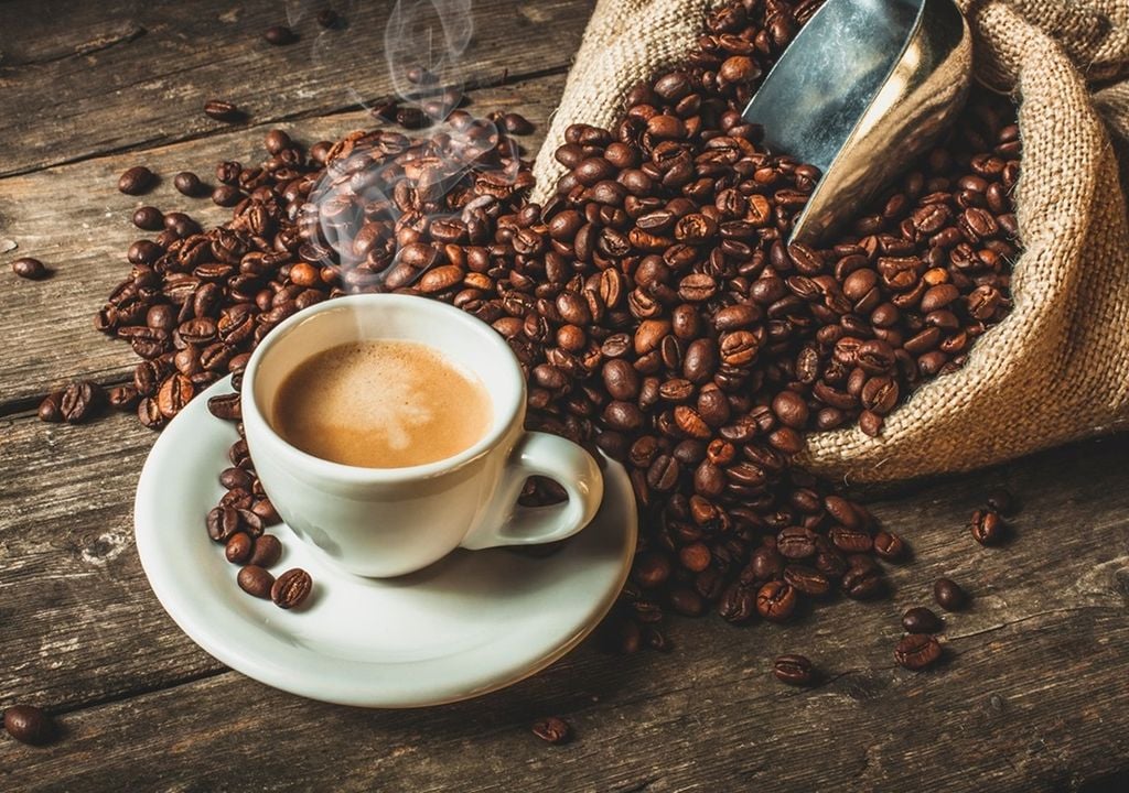 café cultivo Tucumán extinsión café cultivo Tucumán extinsión