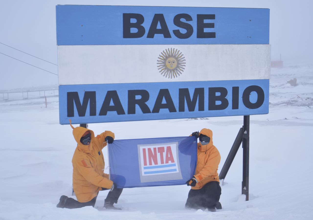 A través del método de cultivo hidropónico, científicos del INTA, UNPA, personal de FAA y la dotación de Base Marambio cultivan sus primeros vegetales para el abastecimiento de la base. Créditos: a quien corresponde de la dotación Marambio.
