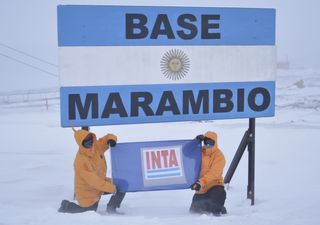 Argentina ya produce vegetales en la Antártida para abastecer Marambio