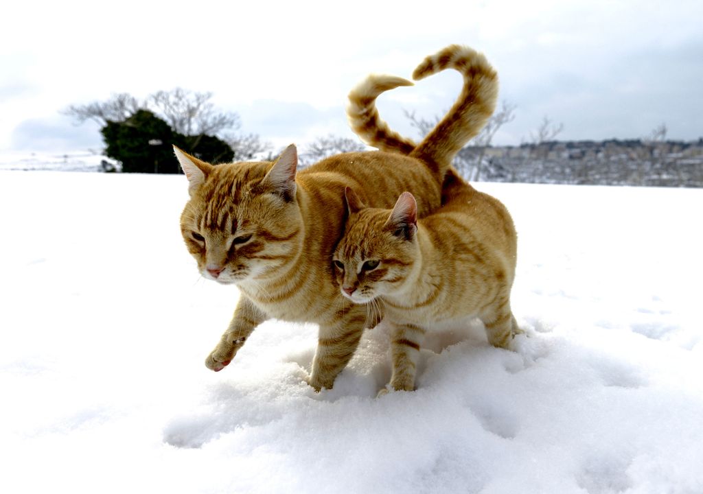 Freddo e neve nel weekend