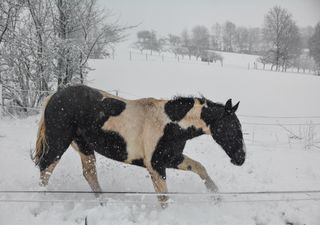 Aria fredda polare per Santa Lucia, poi neve in pianura al nord? I dettagli