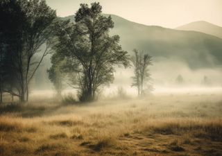 Aria insolitamente fresca verso l'Europa, importante calo termico a inizio agosto!