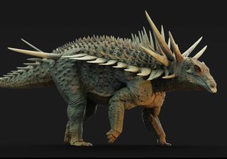 Armadura, exibição e defesa: a importância do Spicomellus afer no estudo dos dinossauros blindados