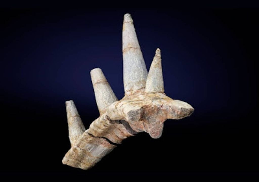 anquilossauros anquilossauros