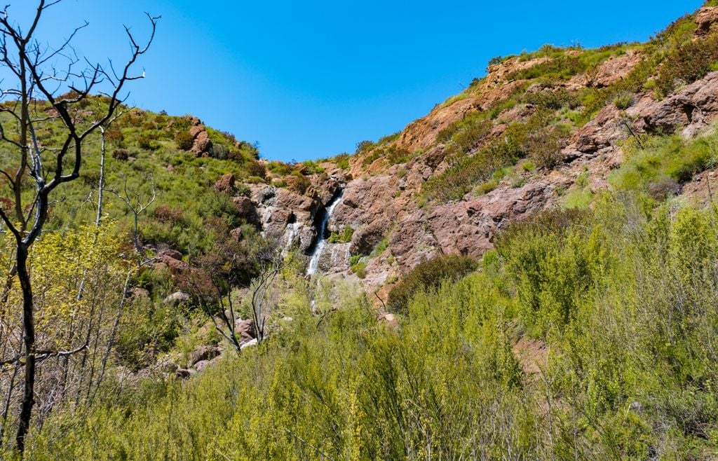 zuma Zuma Canyon forma parte de un corredor natural clave para conectar áreas protegidas y sostener el desplazamiento de la fauna silvestre.