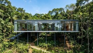 Arquitetura em simbiose: Casa de Vidro de Lina Bo Bardi desafia o tempo e flutua sobre a Mata Atl&acirc;ntica