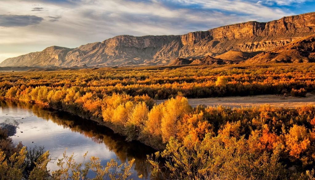 En México, la abundante humedad otoñal genera un último verdor en el campo antes de la sequía invernal. En México, la abundante humedad otoñal genera un último verdor en el campo antes de la sequía invernal.