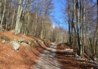 Arriva la primavera, termina l'inverno più caldo di sempre in Europa