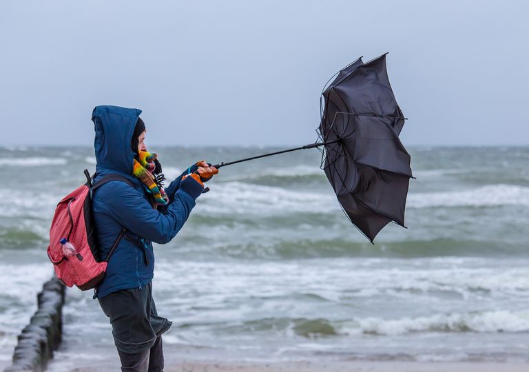 Arrivée brutale de l'automne et des premières tempêtes Arrivée brutale de l'automne et des premières tempêtes