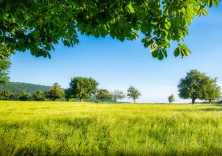 Meteo: arriverà il caldo con l'inizio della Fase 2?