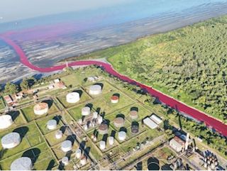 ¡Alerta! La corriente de un arroyo se tiñe de rojo en Argentina