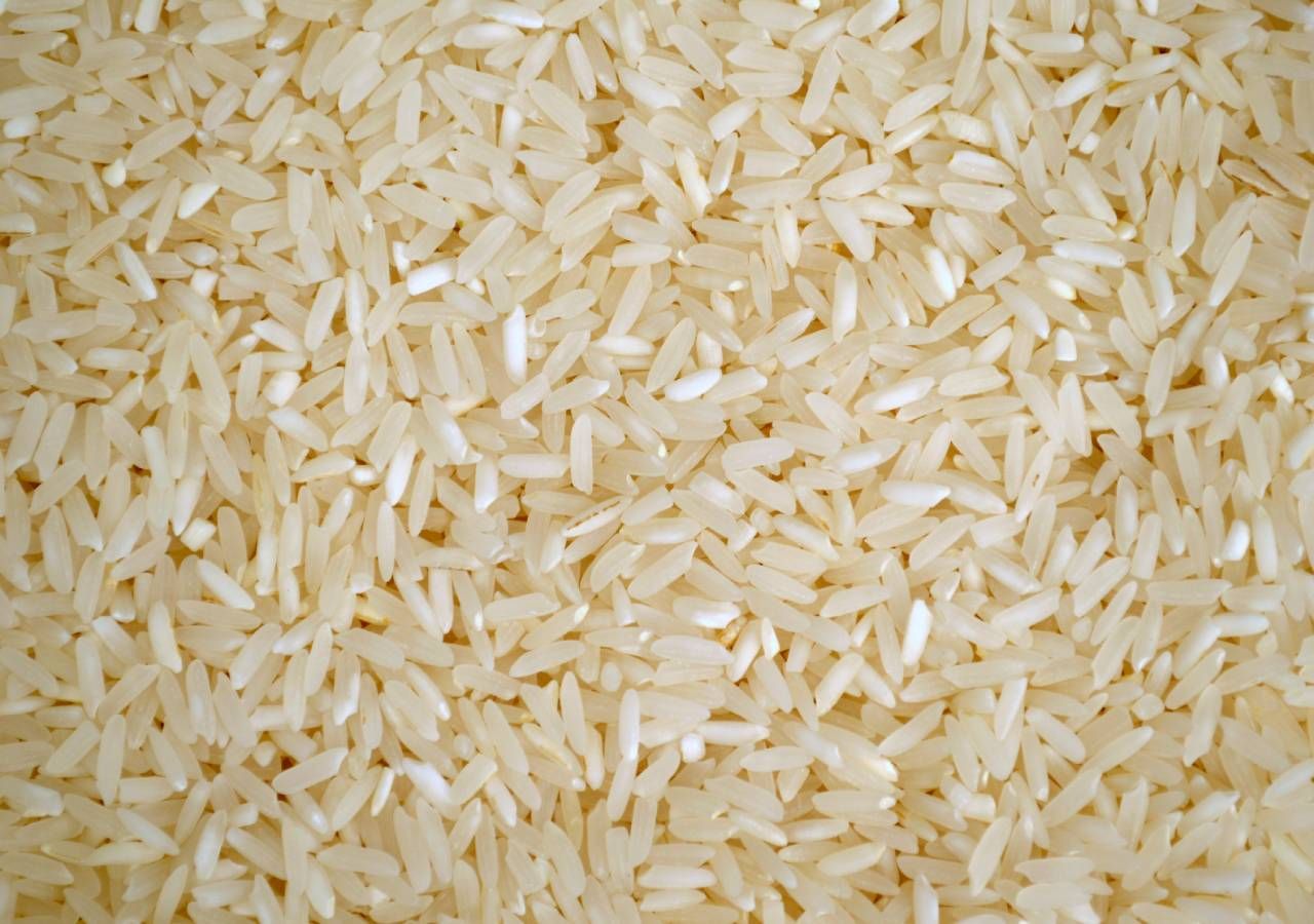 A produção e comercialização do novo arroz carolino Caravela é uma parceria entre o Clube de Produtores Continente e as empresas Lusosem e Novarroz.