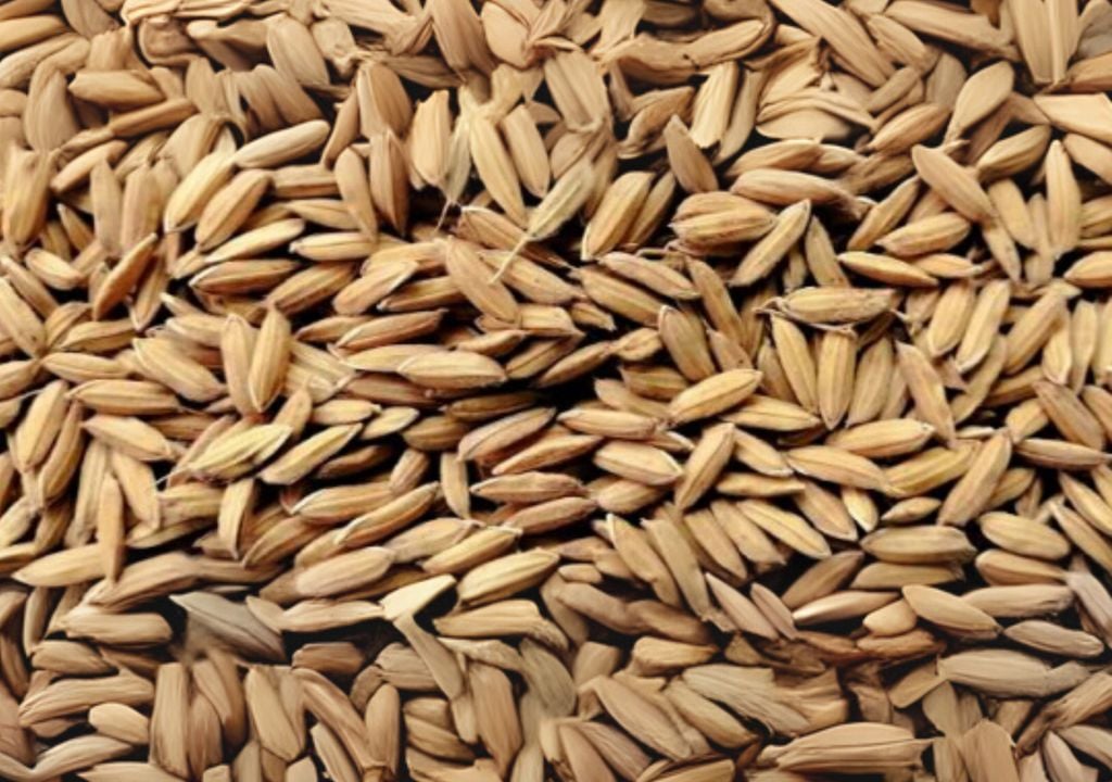 Jaspe: arroz blanco de grano largo y ancho Jaspe: arroz blanco de grano largo y ancho