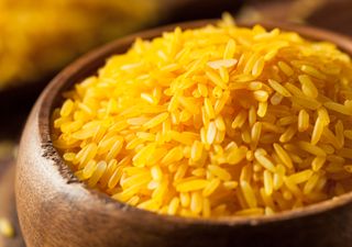 Le "riz doré" pourrait sauver des millions de vies chaque année !