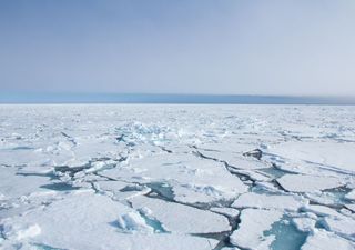 Artificial intelligence to help predict Arctic sea ice loss