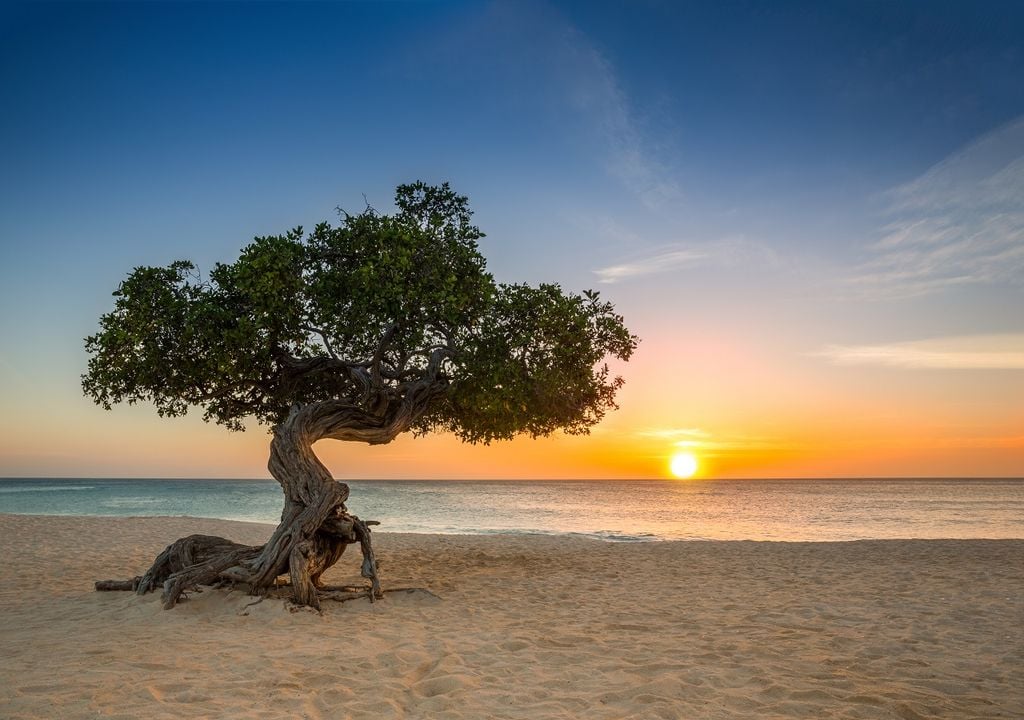 Aruba no tiene agua dulce, pero logra el agua potable ¡más pura del mundo! Aruba no tiene agua dulce, pero logra el agua potable ¡más pura del mundo!
