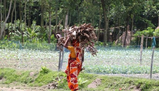 As altera&ccedil;&otilde;es clim&aacute;ticas obrigam fam&iacute;lias a separarem-se: quem decide quem migra e quem fica nos ambientes extremos?