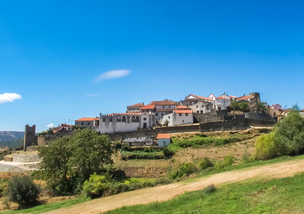 O Parque Biológico de Vinhais, situado em pleno Parque Natural de Montesinho, é um destino fascinante, especialmente para famílias que procuram o contacto direto com o mundo rural e a vida selvagem transmontana.
