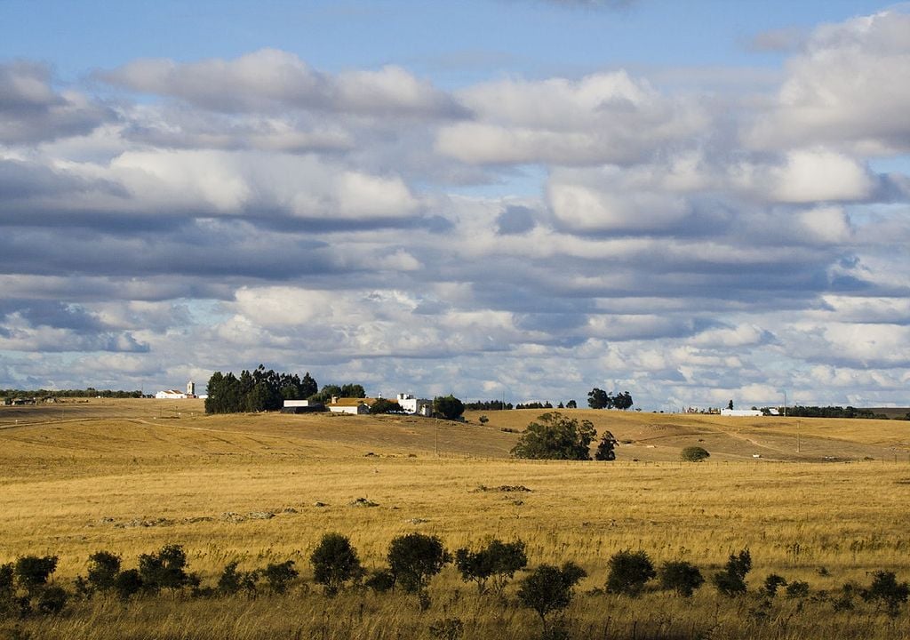 Paisagem no Alentejo Paisagem no Alentejo