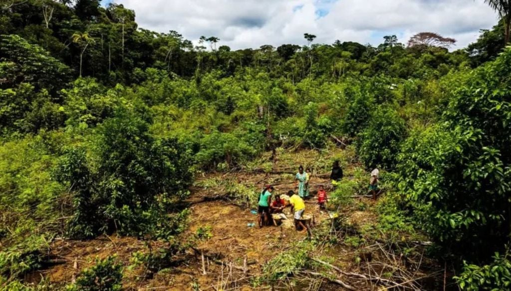 Na área da floresta tropical de Kelly Johanna Yucunatudo, tudo, desde a escolha do local até a localização de cada planta, tem uma ordem e um propósito. Crédito: Fundação Gaia Amazonas