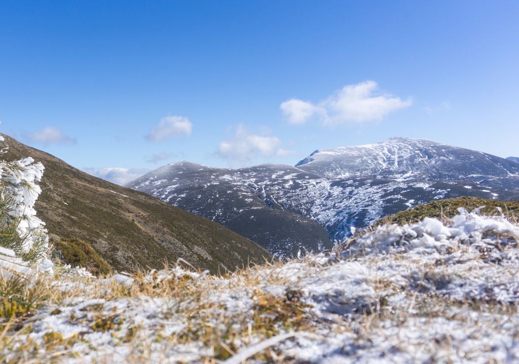 montanha; vegetação As cadeias montanhosas contêm muitos microclimas diferentes.