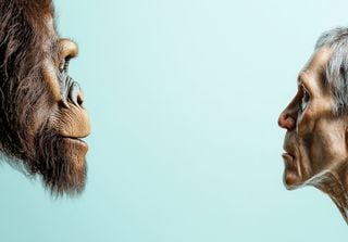 As pegadas de Laetoli, Tanzânia: novas evidências de bipedalismo em hominídeos há 3,6 milhões de anos