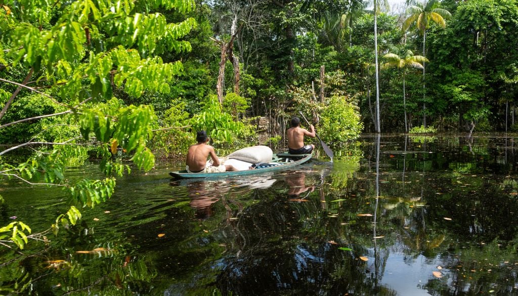amazonas, rios, comunidades Os rios conectam comunidades amazônicas e também funcionam como caminhos para a circulação de alimentos, plantas, práticas culturais e conhecimentos transmitidos entre gerações.