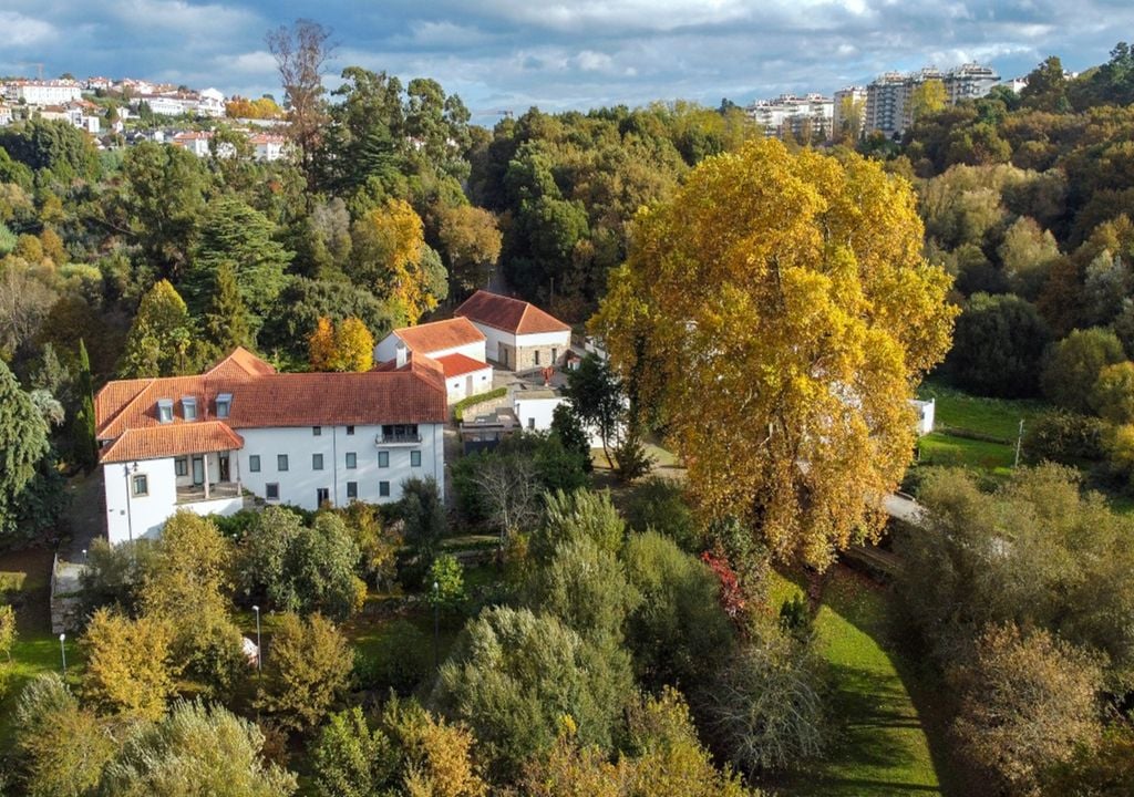 Árvore do Tanque, Viseu Árvore do Tanque, Viseu