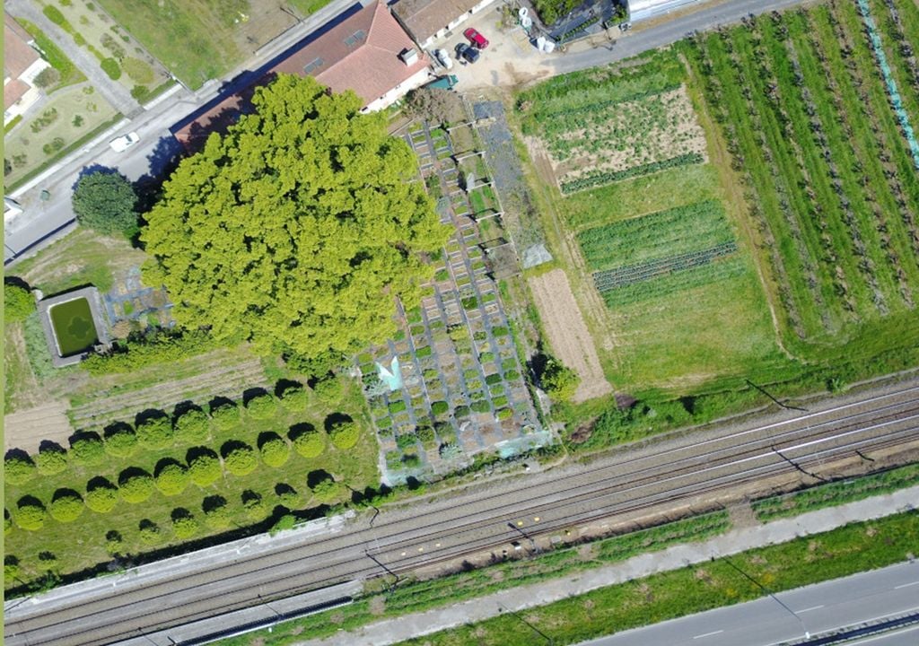 Canfoeira de Coimbra Canfoeira de Coimbra