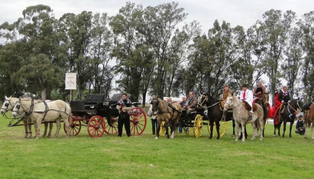 Fiesta Homenaje al Caballo en Vedia Fiesta Homenaje al Caballo en Vedia