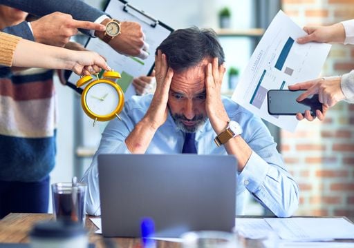 Ashwagandha, Rhodiola y otras plantas que ayudan a tu cuerpo: as&iacute; funciona la respuesta de la naturaleza al agotamiento