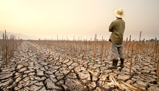 As&iacute; afecta El Ni&ntilde;o a la mortalidad global: el fen&oacute;meno causar&aacute; 450.000 fallecimientos adicionales en solo 9 meses