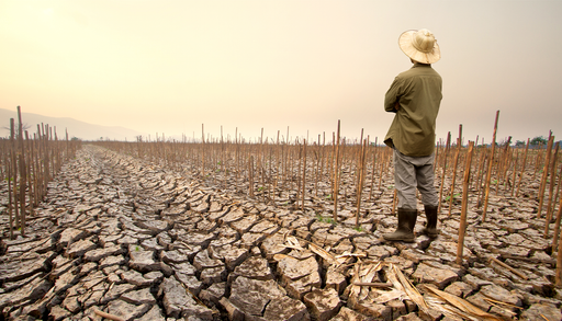 As&iacute; afecta El Ni&ntilde;o a la mortalidad global: el fen&oacute;meno causar&aacute; 450.000 fallecimientos adicionales en solo 9 meses