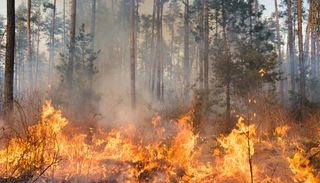 El incendio de Fermoselle, Zamora, entra en fase crítica: el calor extremo y el viento complican cada avance