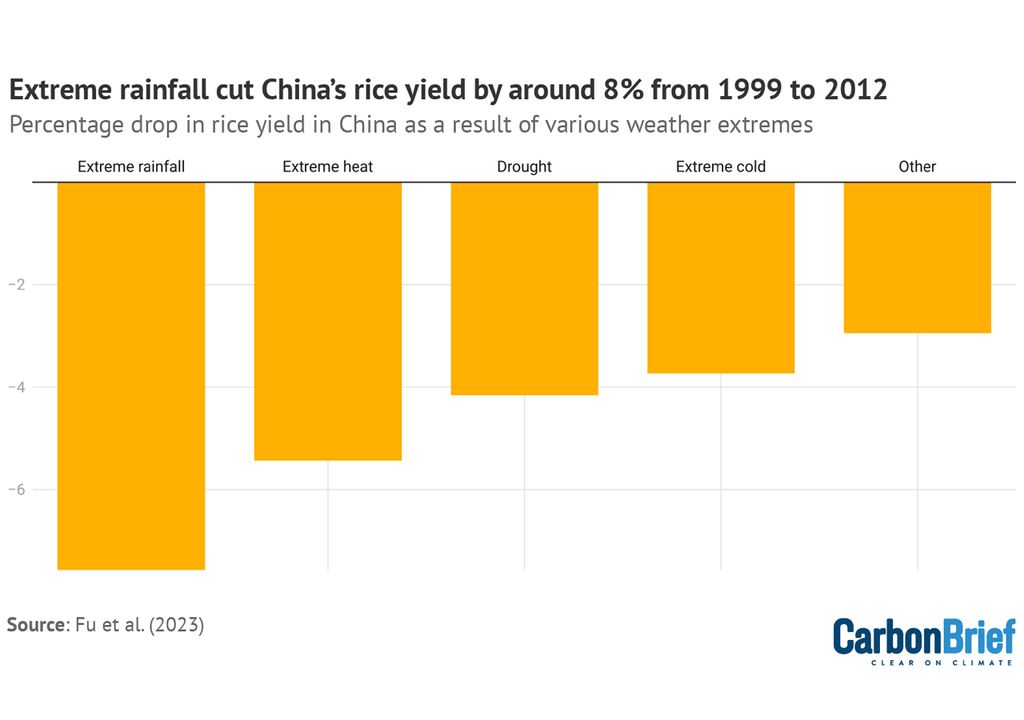 Impacto clima en cultivos China