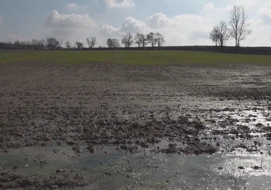 inundaciones cultivos