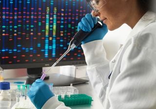 Así es el ADN creado por unos biólogos con IA que por primera vez controla las células sanguíneas de mamíferos
