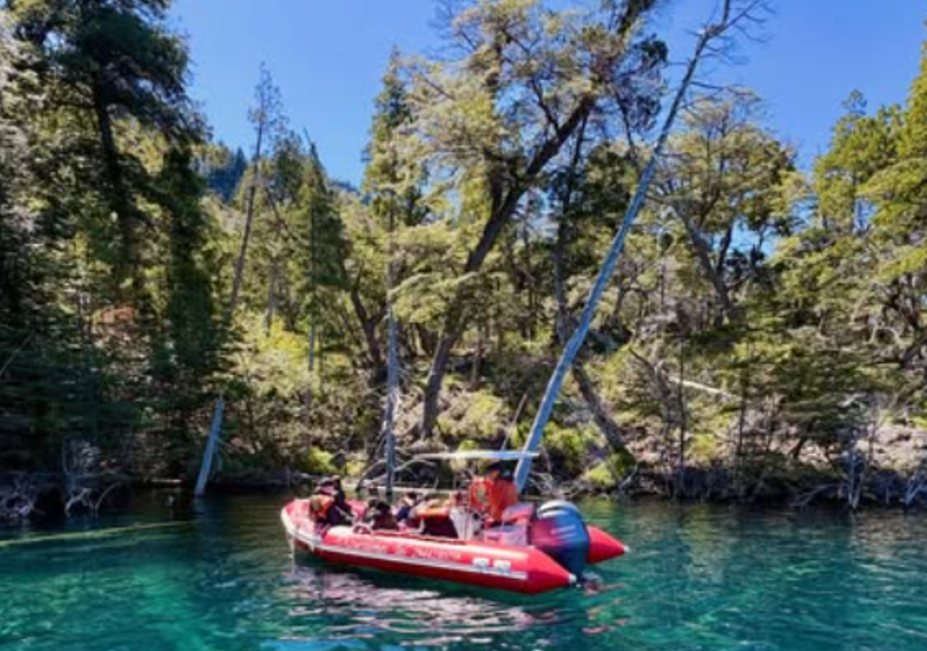Bosque sumergido lago Traful